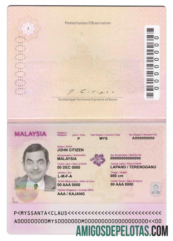 Passaporte da Malásia (2010 2017) baixar para verificação